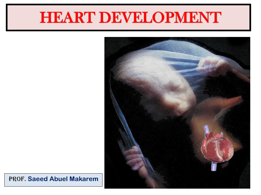 Embryology and Anatomy of Fetal Heart