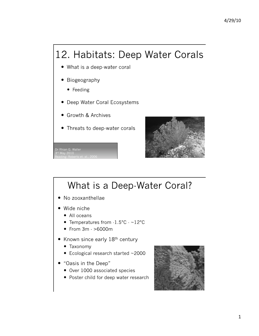 Deep Water Corals  What Is a Deep-Water Coral