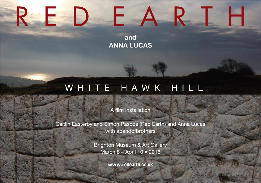 Red Earth Whitehawk Hill Flyer