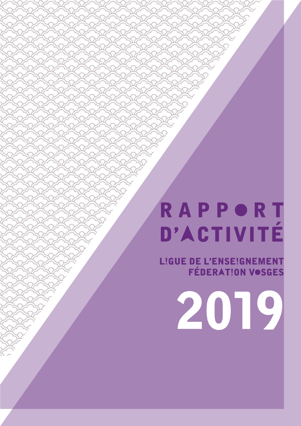 Rapport D'activité