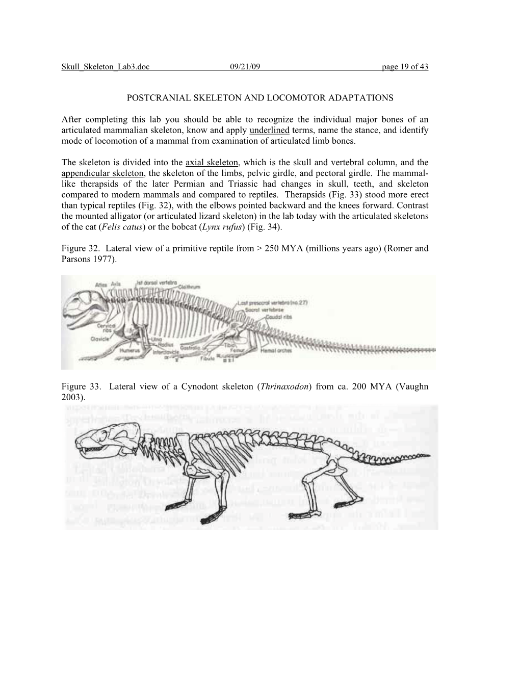POSTCRANIAL SKELETON and LOCOMOTOR ADAPTATIONS After Completing This Lab You Should Be Able to Recognize the Individual Major Bo