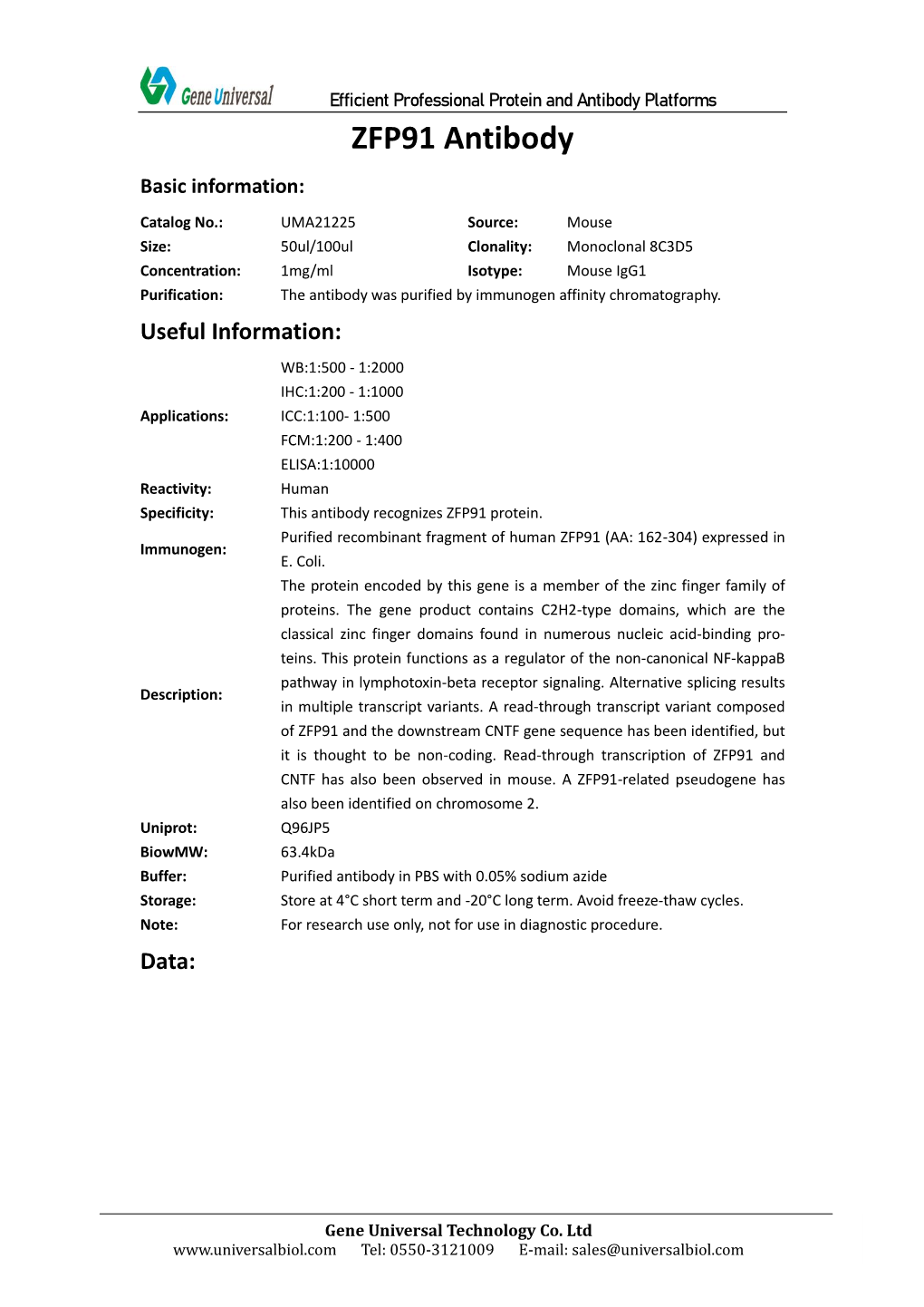 ZFP91 Antibody