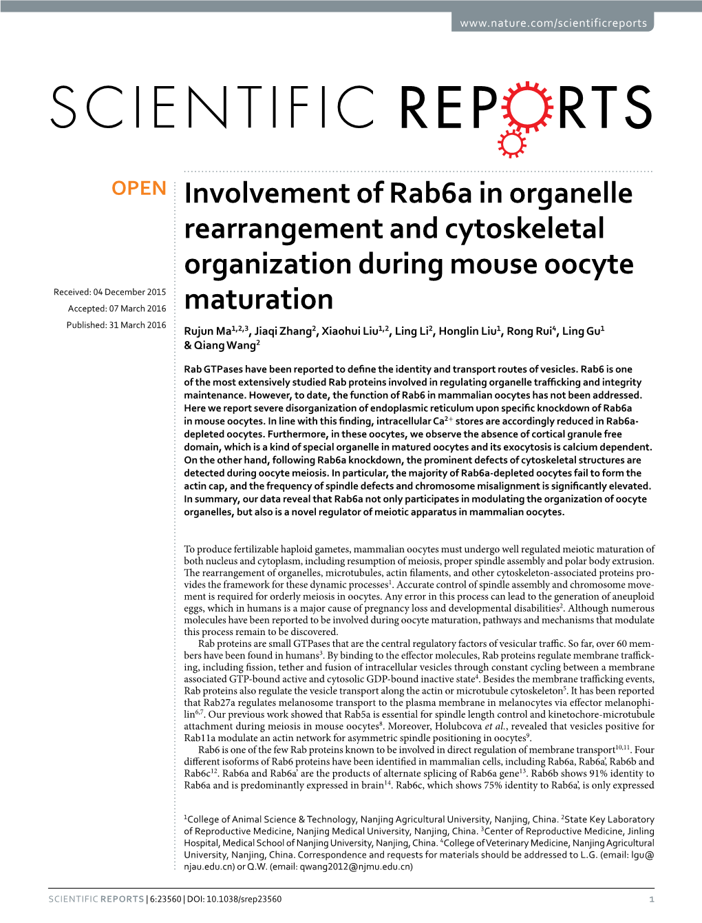 Involvement of Rab6a in Organelle Rearrangement and Cytoskeletal