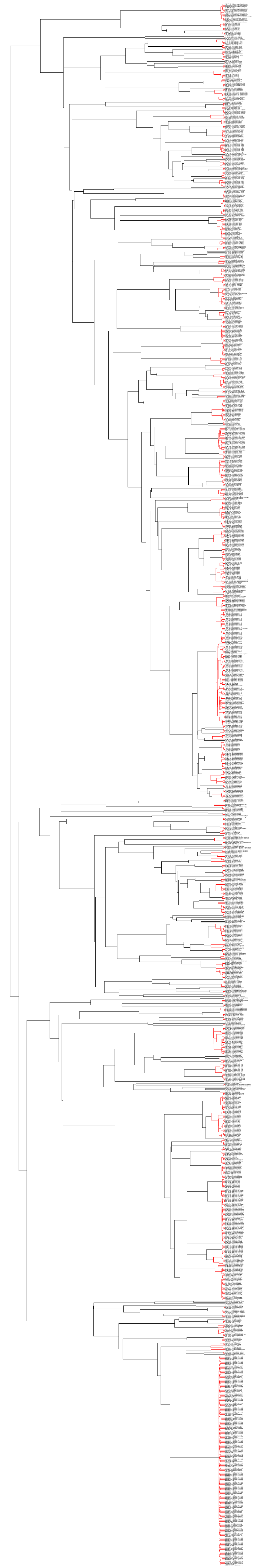 R Graphics Output