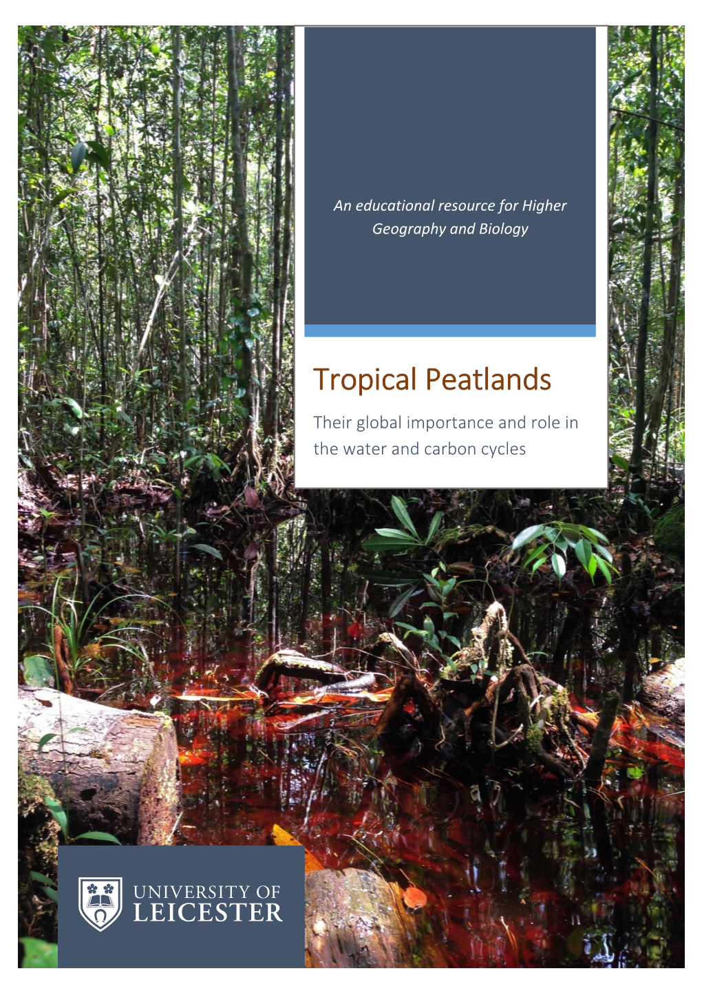 Tropical Peatlands Their Global Importance and Role in the Water and Carbon Cycles
