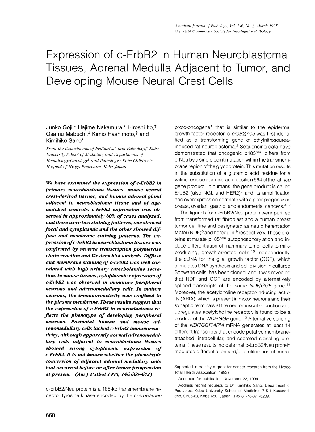 Expression of C-Erbb2 in Human Neuroblastoma Developing Mouse