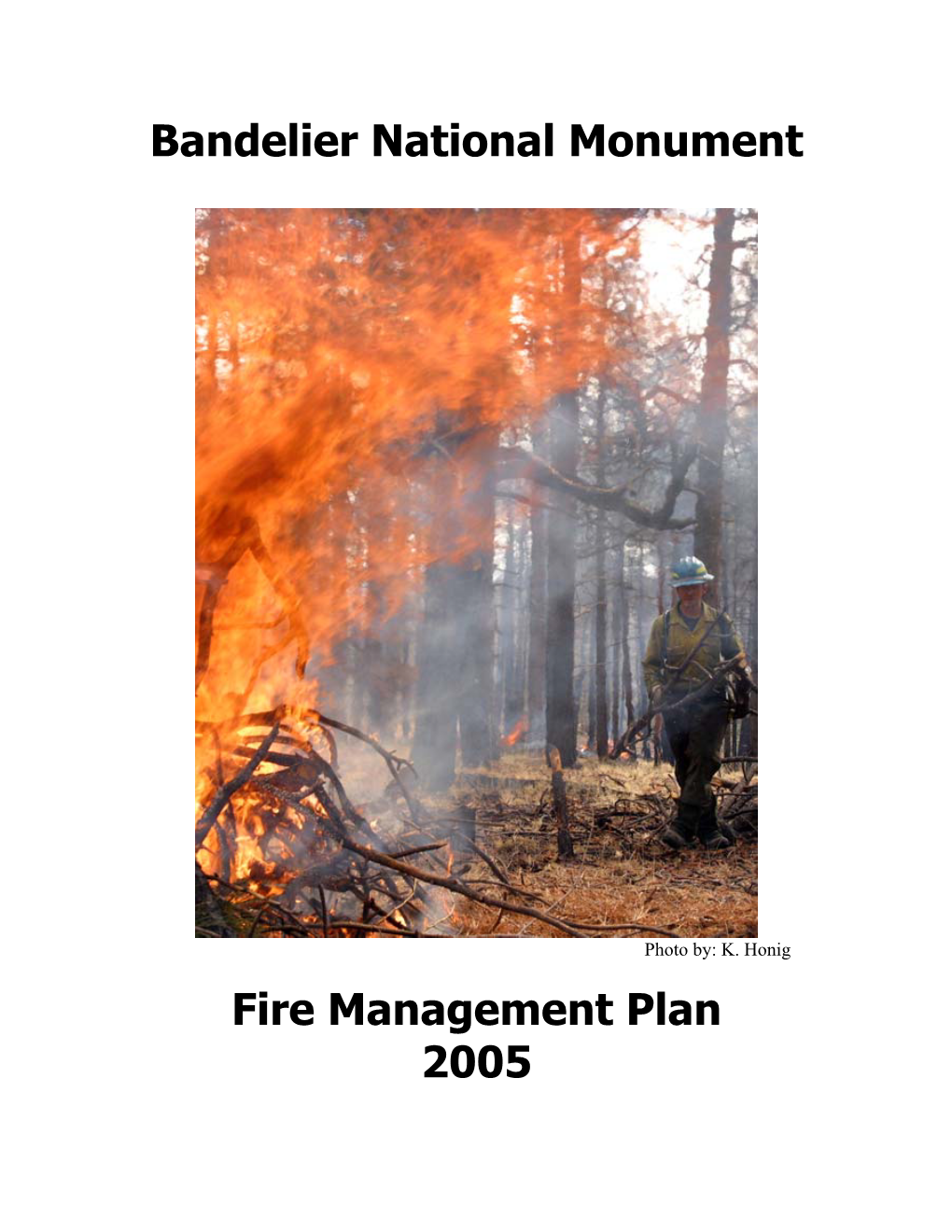 Bandelier National Monument Fire Management Plan 2005
