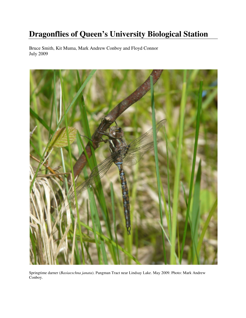 Dragonflies of Queen's University Biological Station