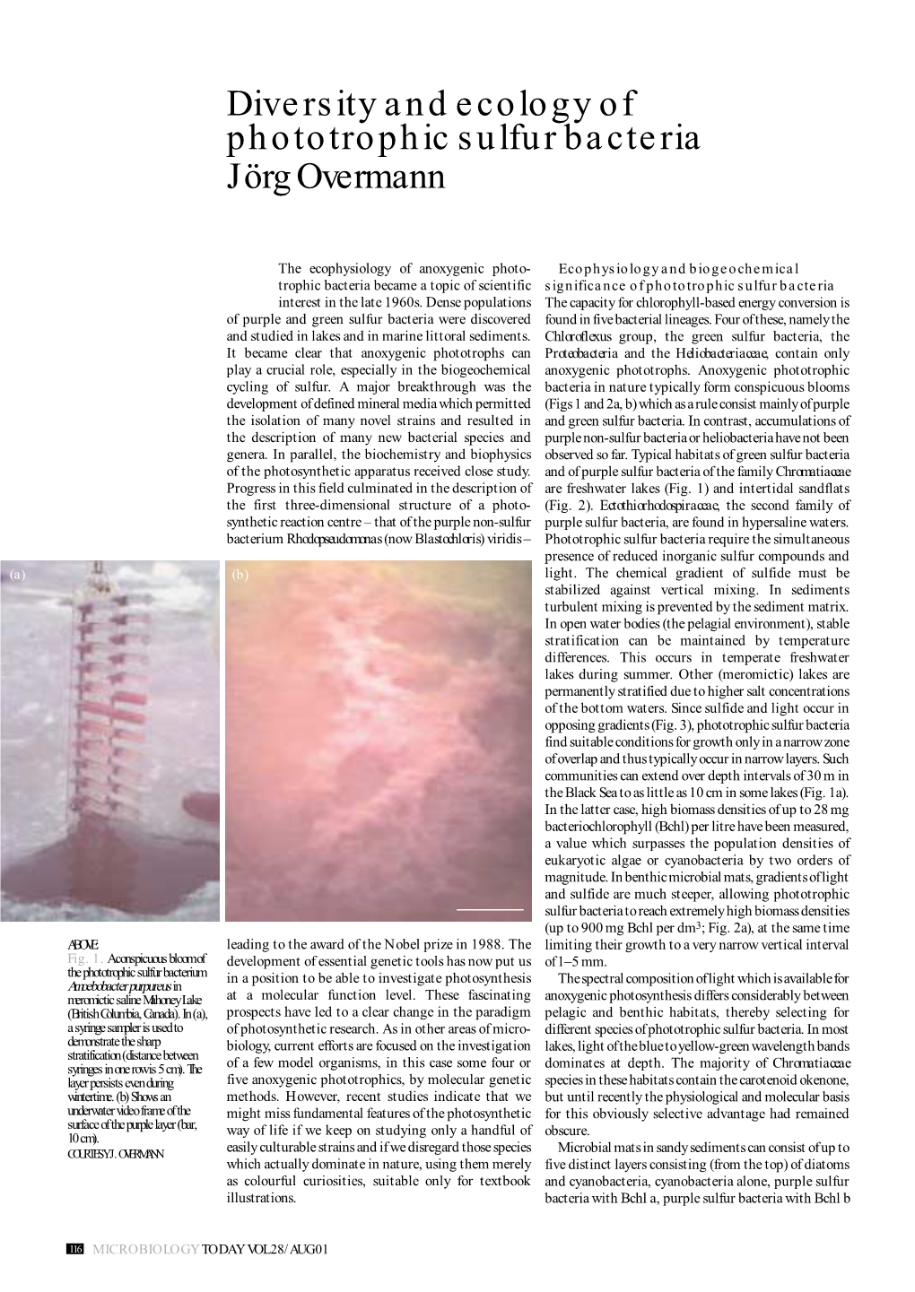 Diversity and Ecology of Phototrophic Sulfur Bacteria Jörg Overmann