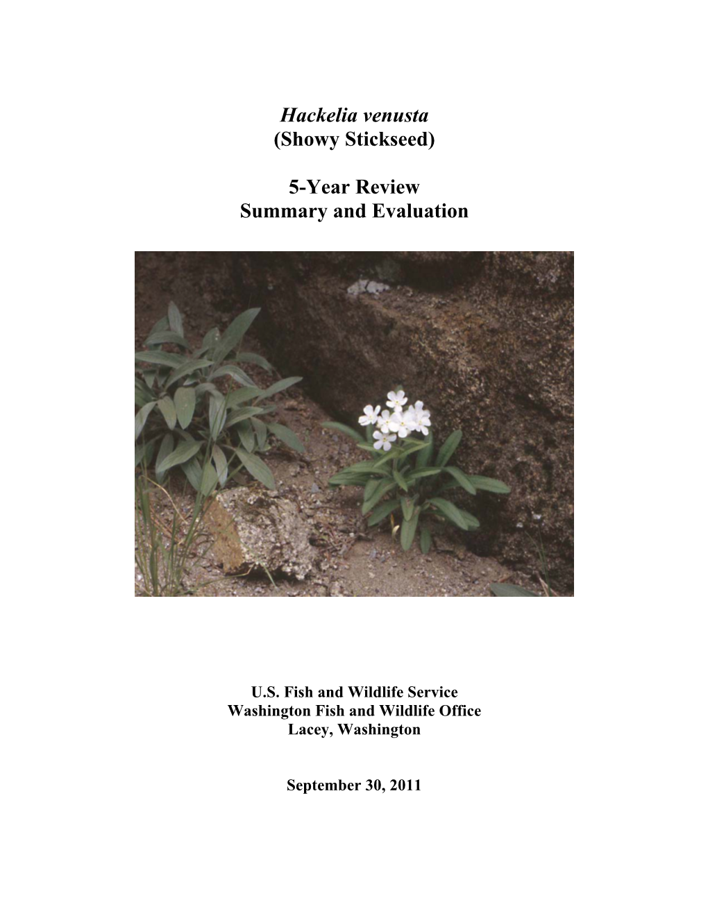 Hackelia Venusta (Showy Stickseed) 5-Year Review Summary and Evaluation