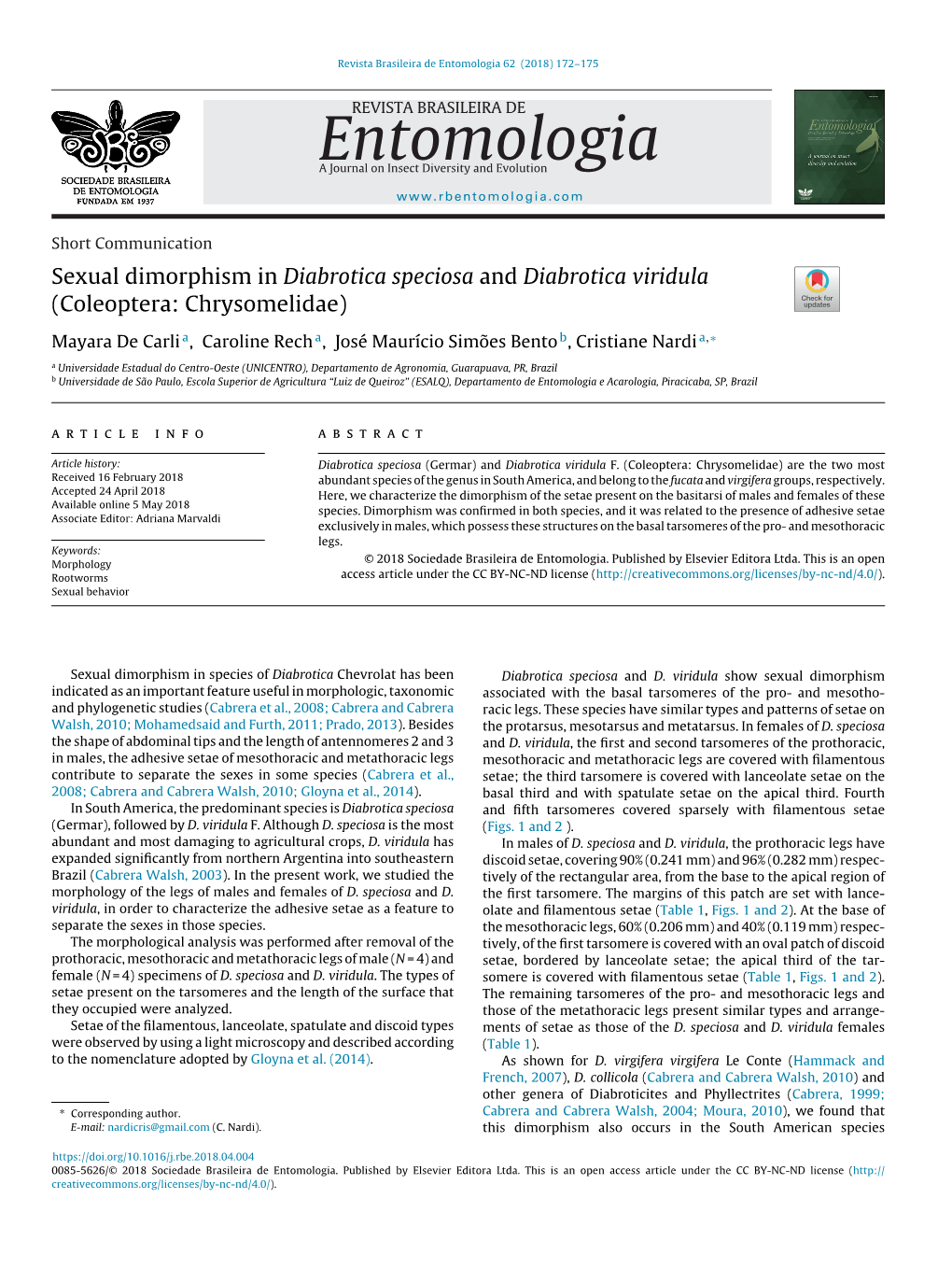 Sexual Dimorphism in Diabrotica Speciosa and Diabrotica Viridula (Coleoptera: Chrysomelidae)