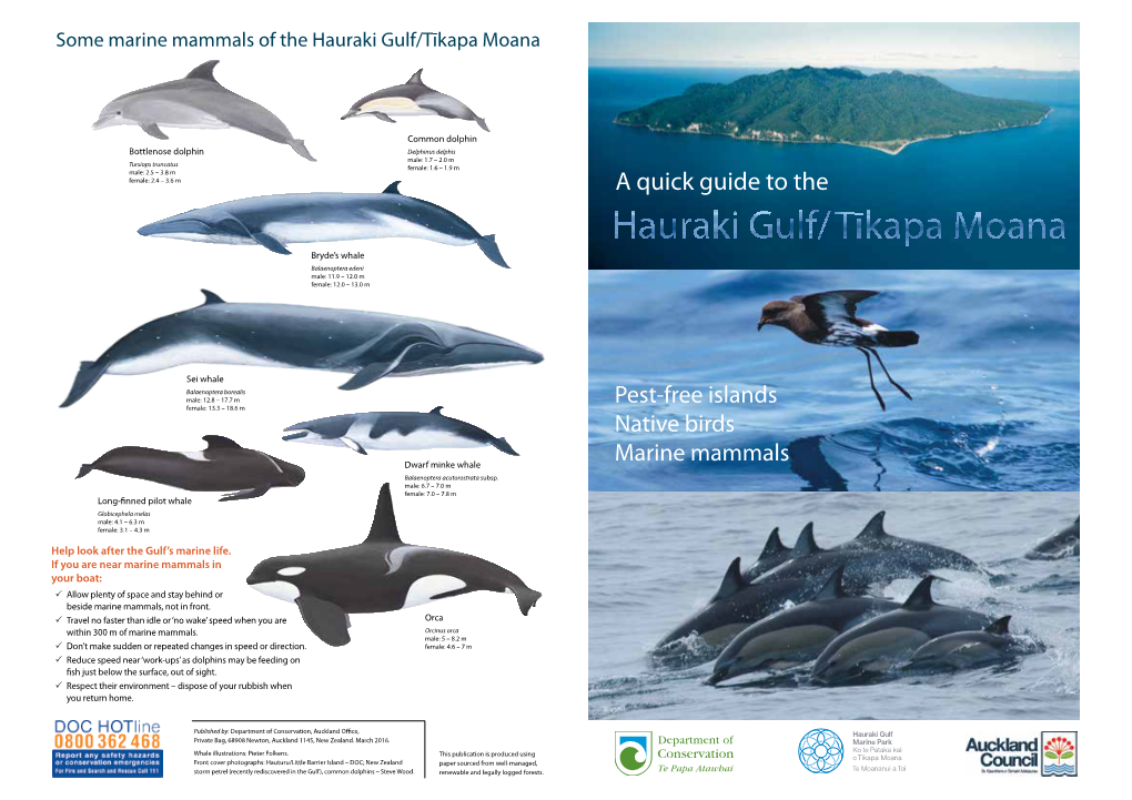 A Quick Guide to the Hauraki Gulf/Tikapa Moana