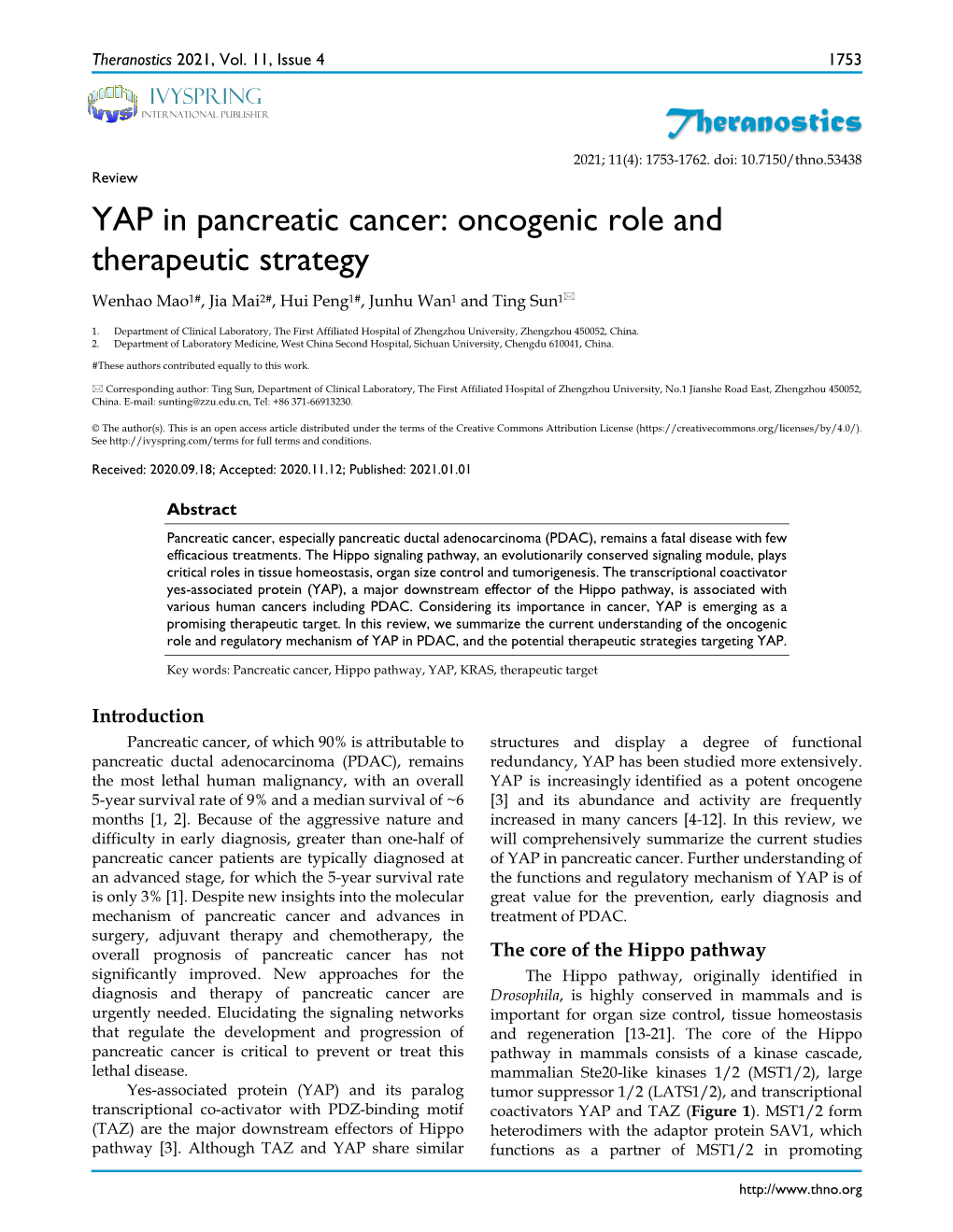 Theranostics YAP in Pancreatic Cancer: Oncogenic Role And