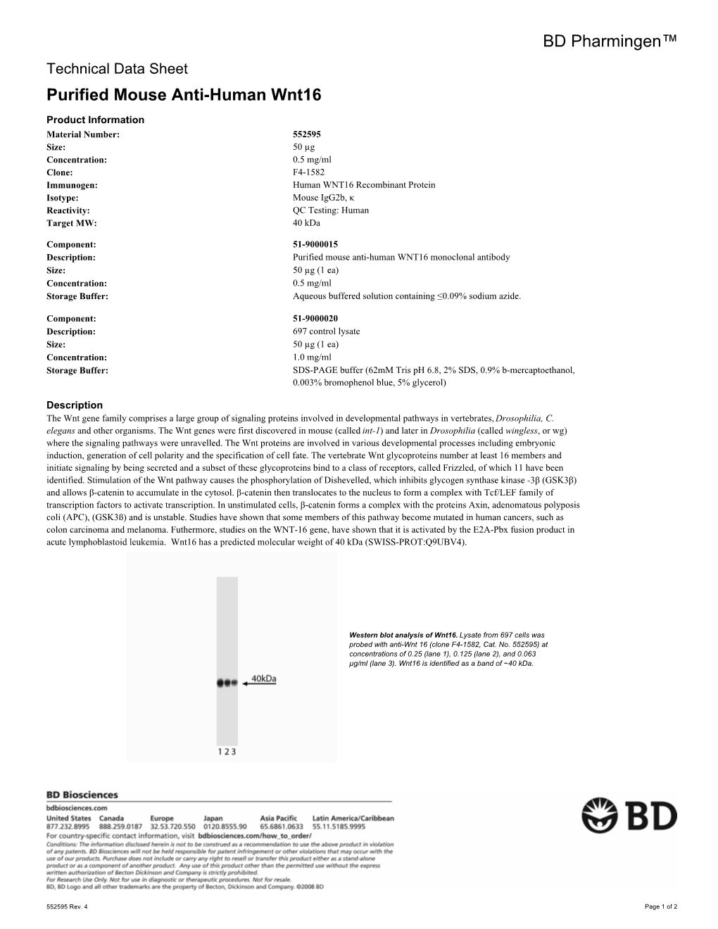 BD Pharmingen™ Purified Mouse Anti-Human Wnt16