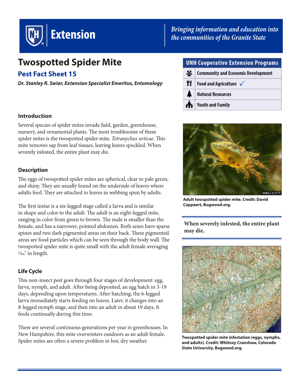 Twospotted Spider Mite Pest Fact Sheet 15 Dr