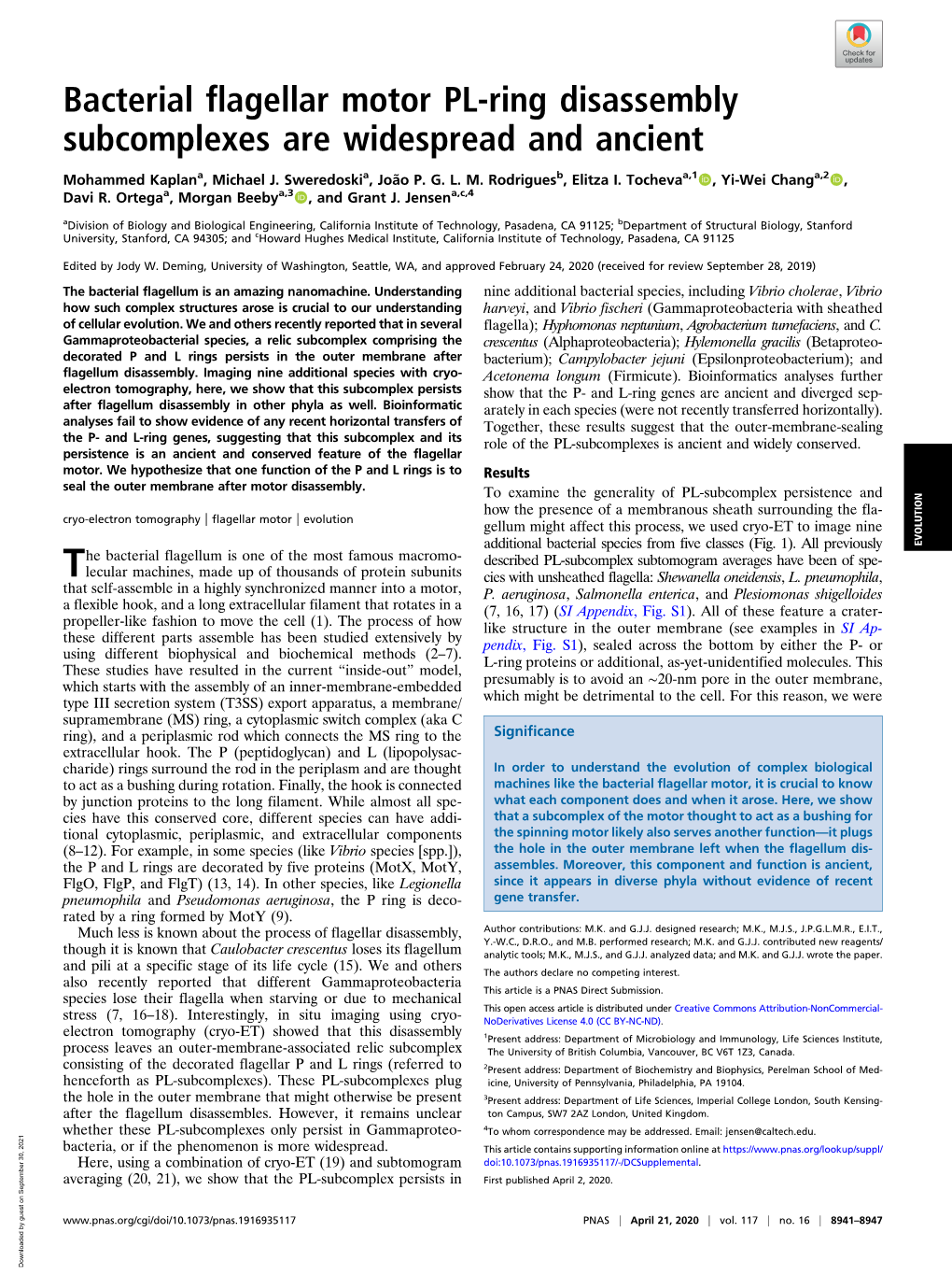 Bacterial Flagellar Motor PL-Ring Disassembly Subcomplexes Are Widespread and Ancient