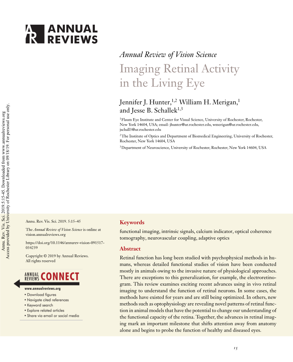 Imaging Retinal Activity in the Living Eye