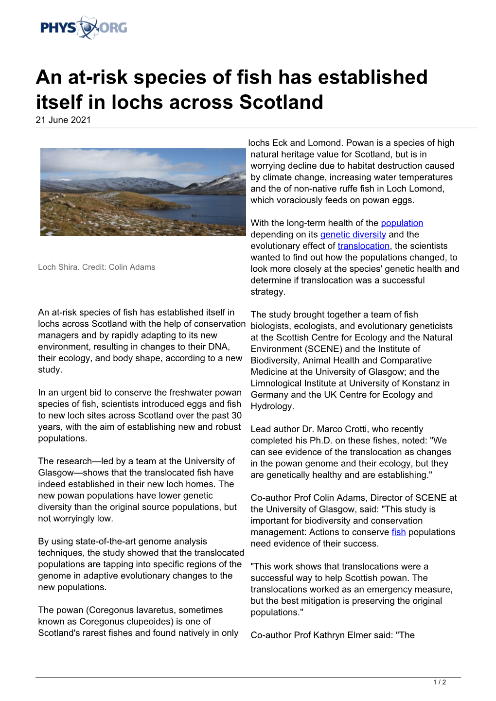 An At-Risk Species of Fish Has Established Itself in Lochs Across Scotland 21 June 2021