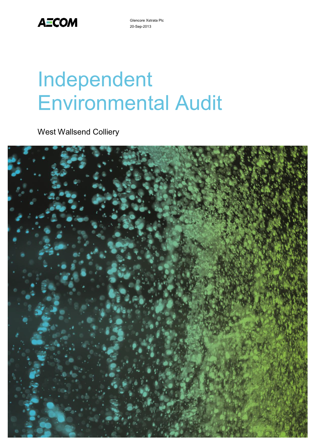 Independent Environmental Audit