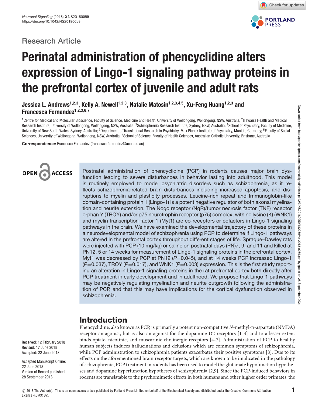 Perinatal Administration of Phencyclidine Alters Expression of Lingo-1 Signaling Pathway Proteins in the Prefrontal Cortex of Juvenile and Adult Rats