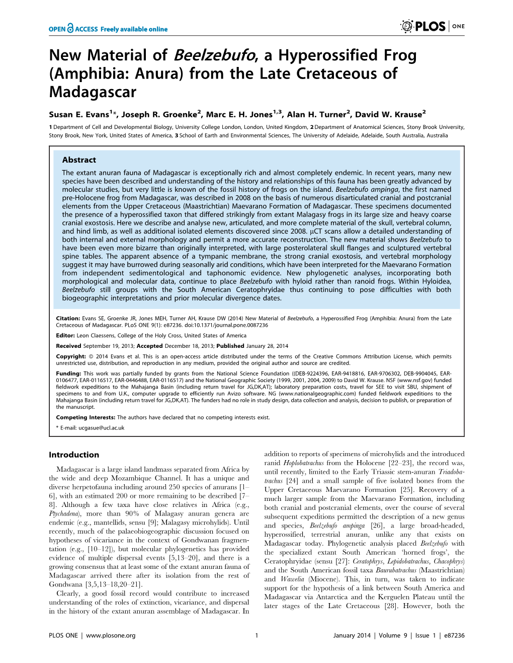 New Material of Beelzebufo, a Hyperossified Frog (Amphibia: Anura) from the Late Cretaceous of Madagascar