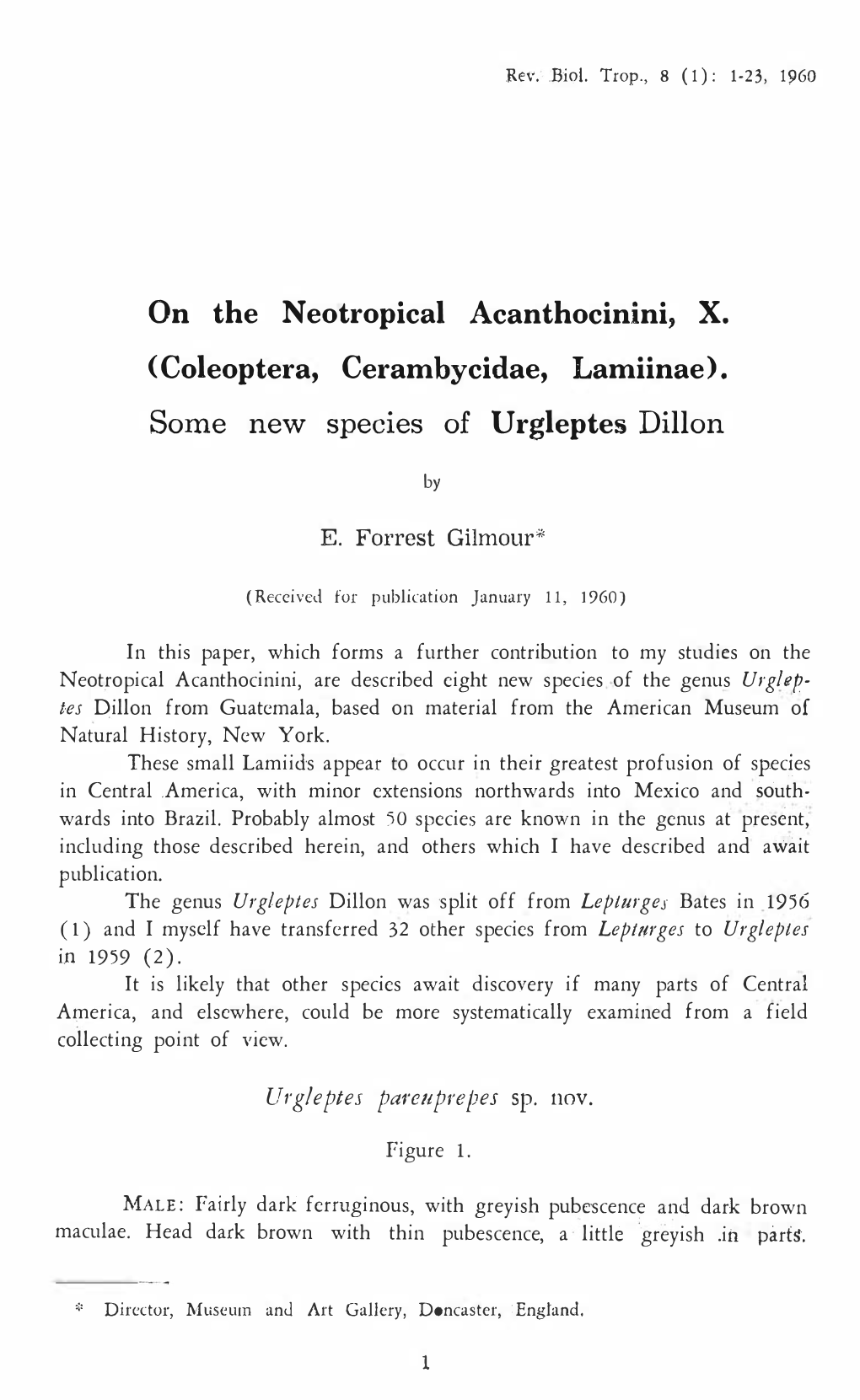 On the N Eotropical Acanthocinini, X. (Coleoptera, Cerambycidae