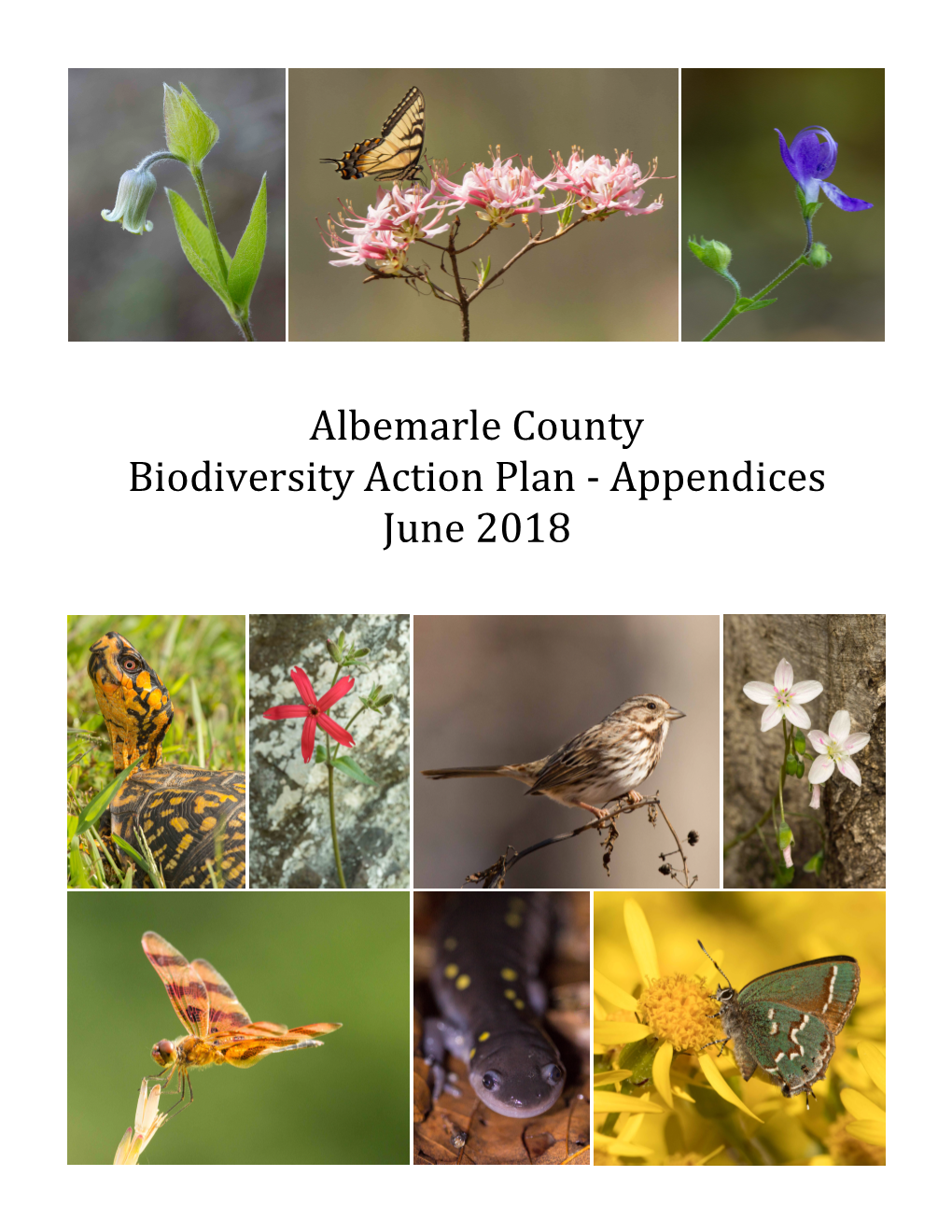 Albemarle County Biodiversity Action Plan - Appendices June 2018