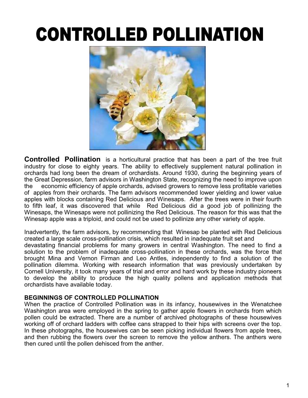 Controlled Pollination Is a Horticultural Practice That Has Been a Part of the Tree Fruit Industry for Close to Eighty Years