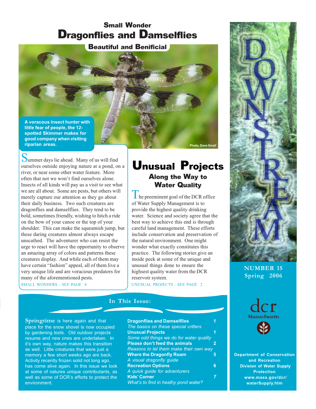 Dragonflies and Damselflies Unusual Projects