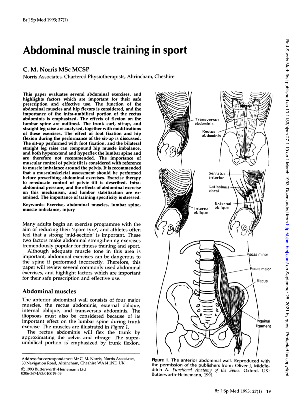 Abdominal Muscle Training in Sport
