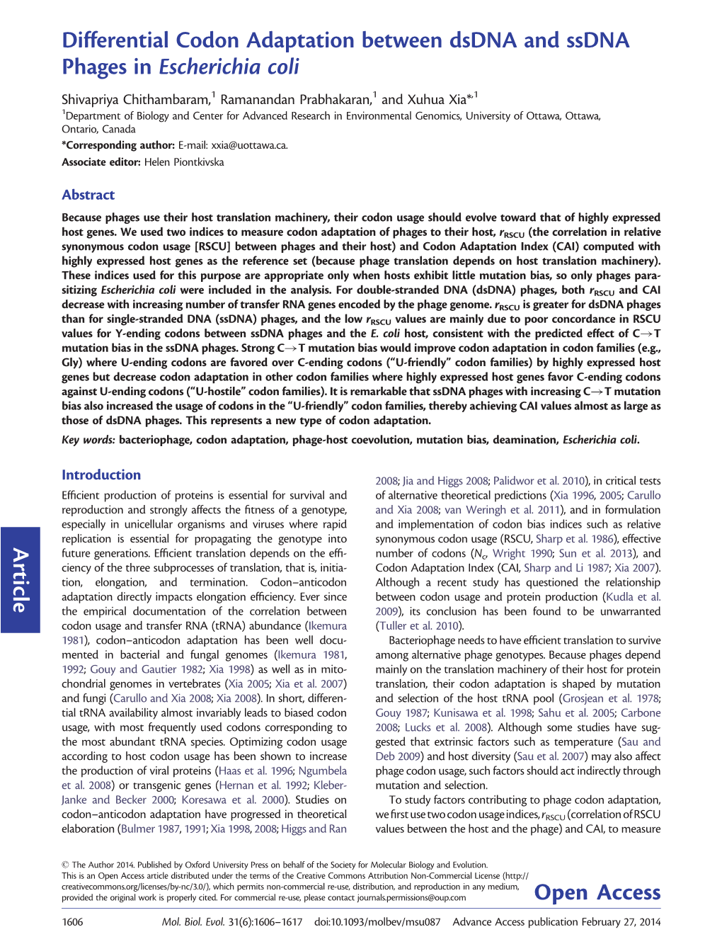 Article Differential Codon Adaptation Between Dsdna and Ssdna