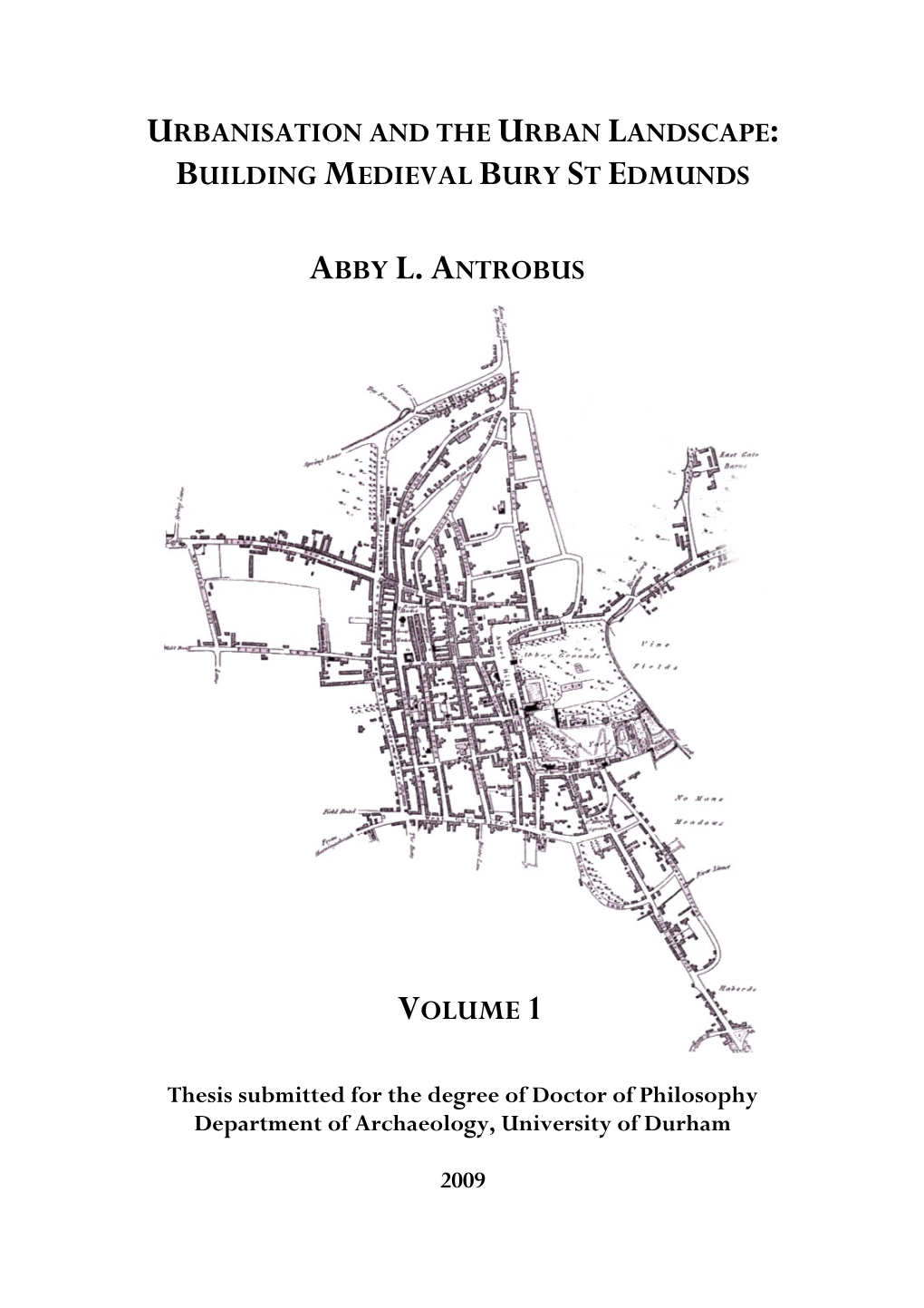 Urbanisation and the Urban Landscape: Bury St Edmunds