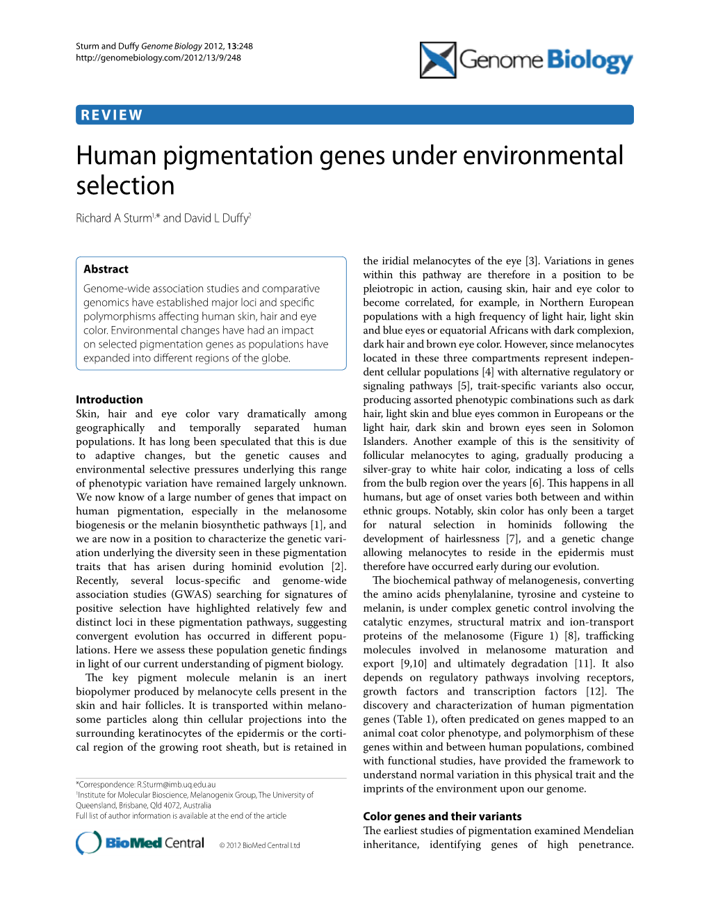 Human Pigmentation Genes Under Environmental Selection Richard a Sturm1,* and David L Du Y2