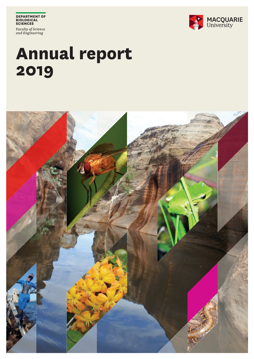 Annual Report 2019 Welcome from the Head of Department 2019 – CELEBRATING EXCELLENCE in RESEARCH, TEACHING and SERVICE
