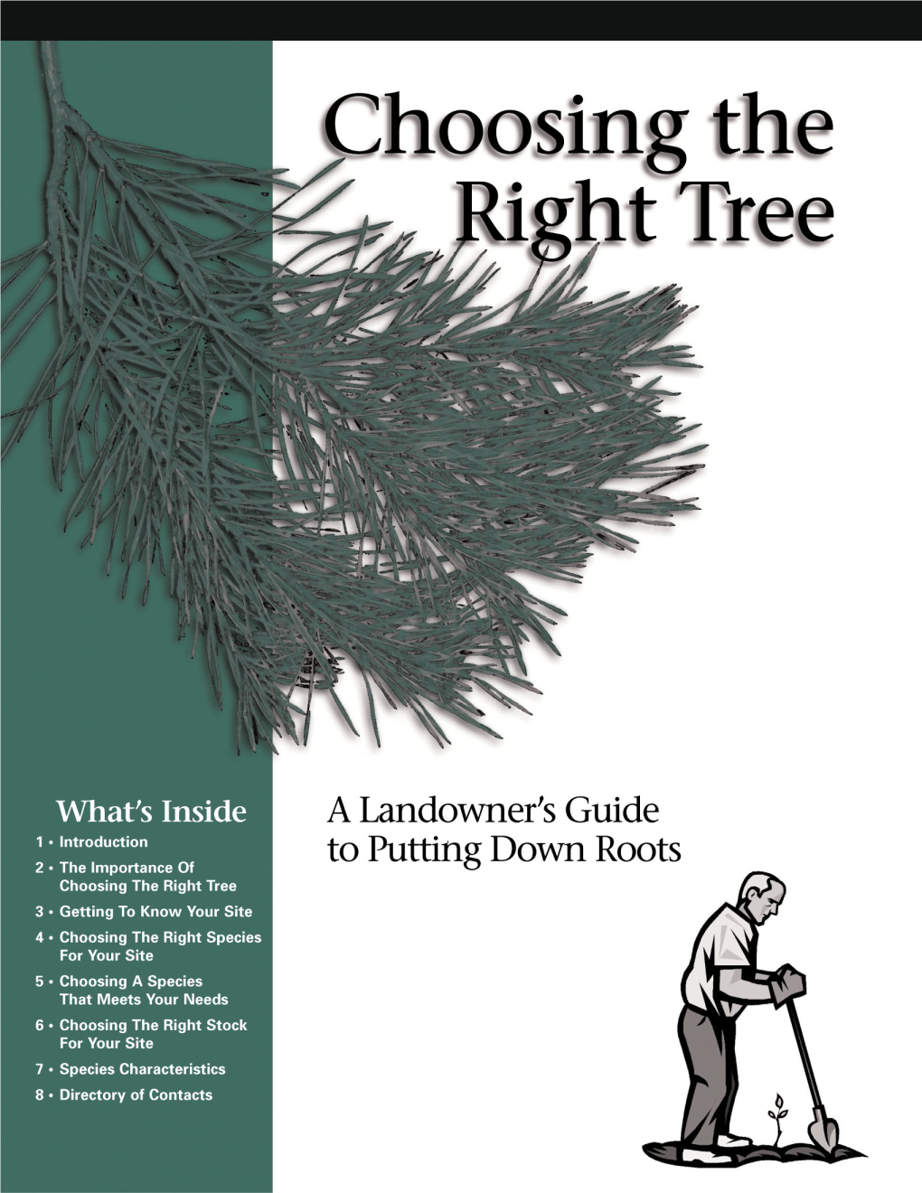 CHOOSING the RIGHT TREE a Landowner’S Guide to Putting Down Roots
