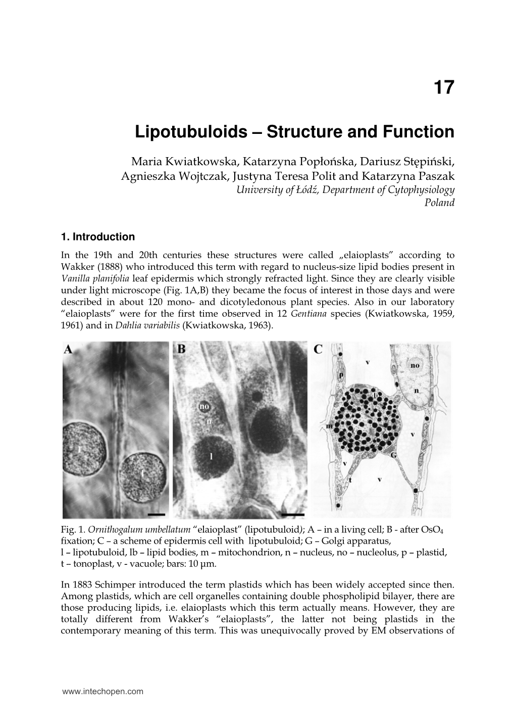 Lipotubuloids – Structure and Function