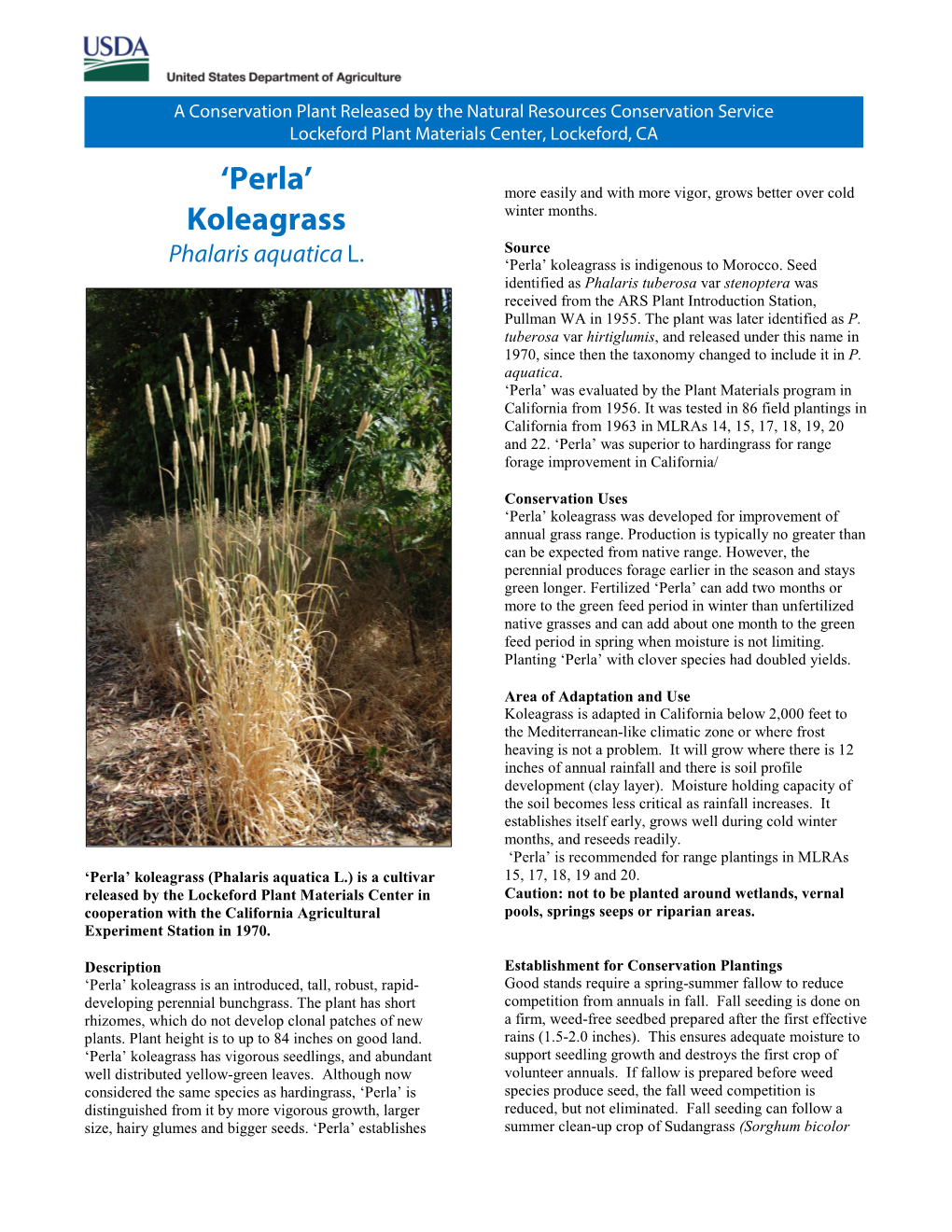 Conservation Plant Release Brochure for 'Perla', Koleagrass, Phalaris