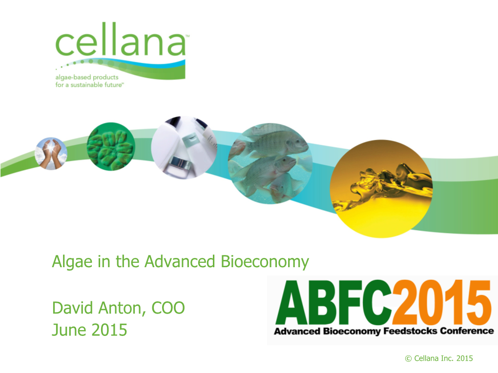 Scaling of Algae Biomass Industry – Easy As “A, B, C” Three-Product Model As a Bridge to a Two-Product Model; Profits at Every Stage