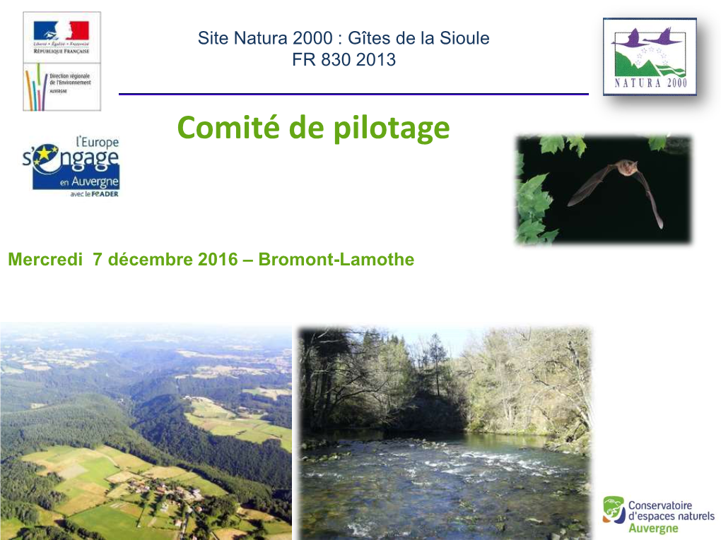 Bromont-Lamothe Mine De Pranal