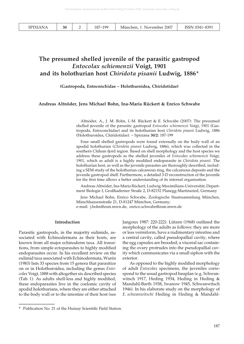 The Presumed Shelled Juvenile of the Parasitic Gastropod Entocolax Schiemenzii Voigt, 1901 and Its Holothurian Host Chiridota Pisanii Ludwig, 1886*