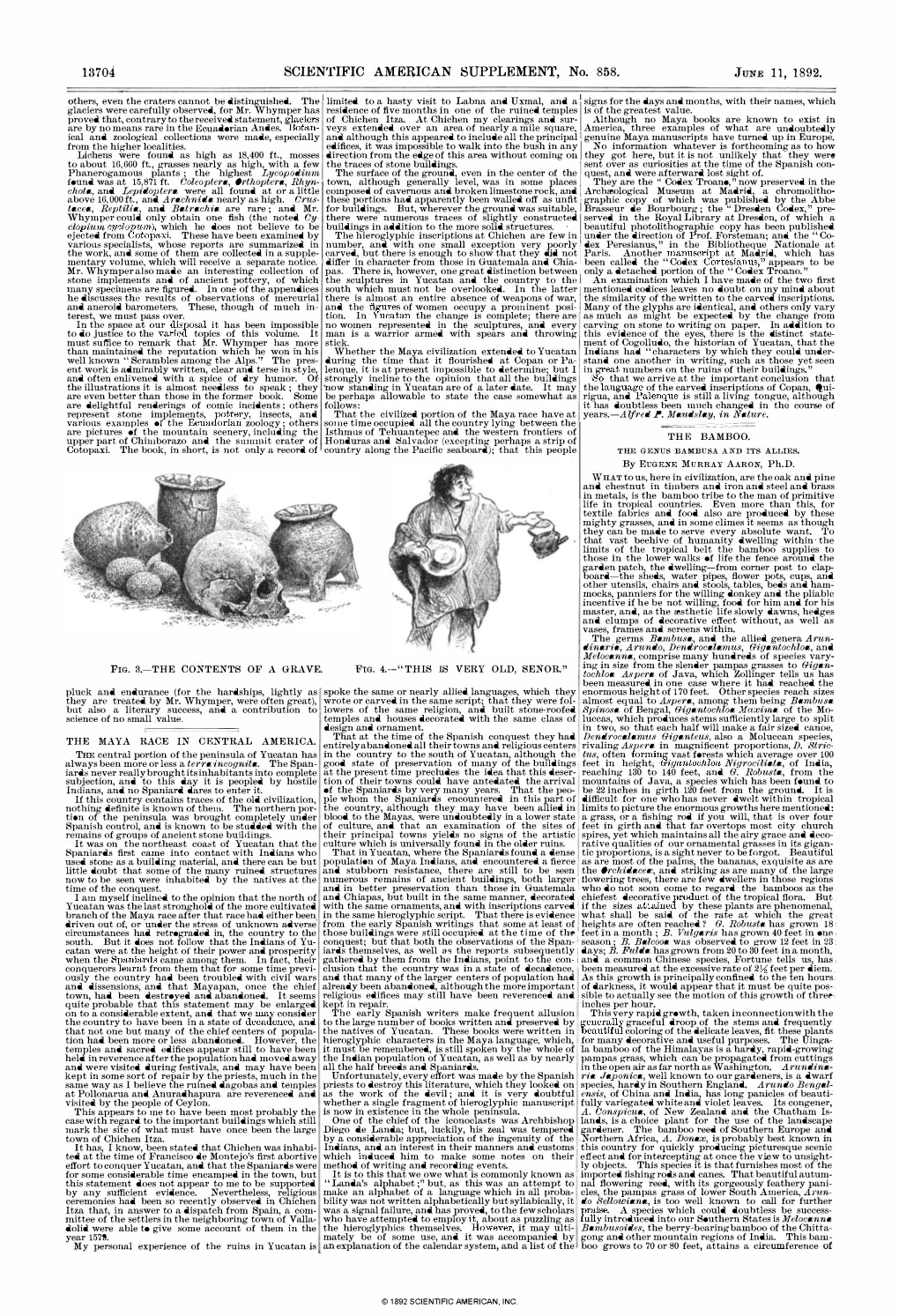 13704 SCIENTIFIC AMERICAN SUPPLEMENT, No. 858. JUNE 11, 1892