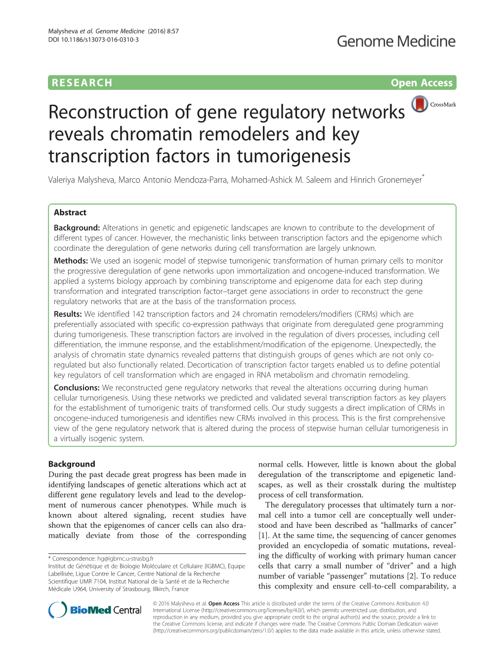 Reconstruction of Gene Regulatory Networks Reveals Chromatin