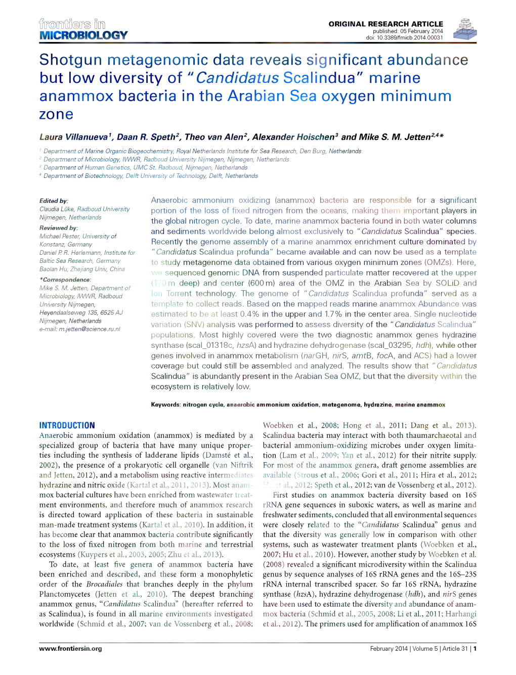 Candidatus Scalindua" Marine Anammox Bacteria in the Arabian Sea Oxygen Minimum Zone