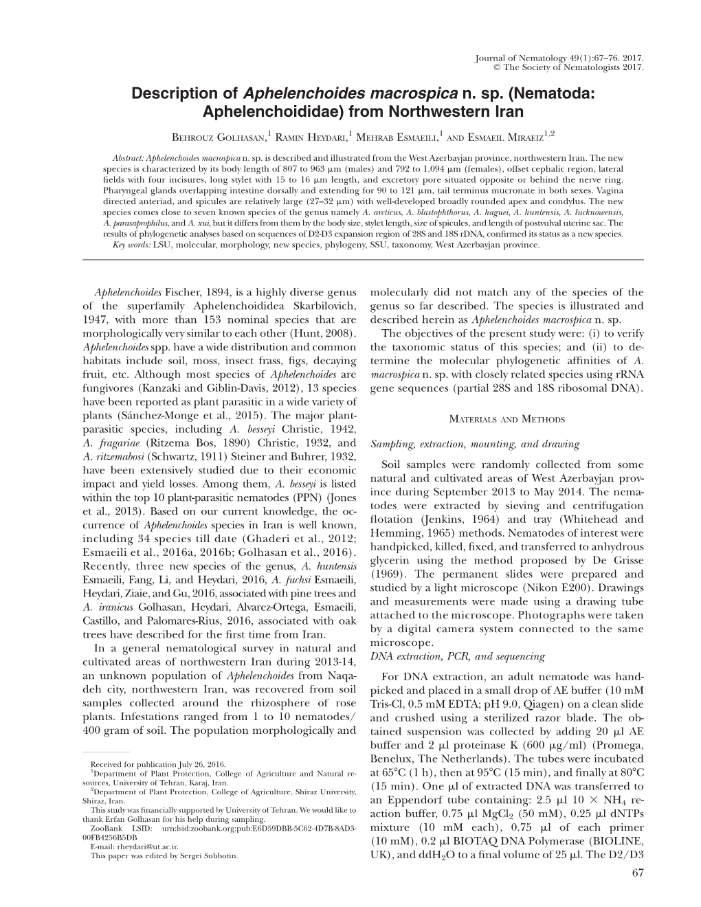 Description of Aphelenchoides Macrospica N. Sp