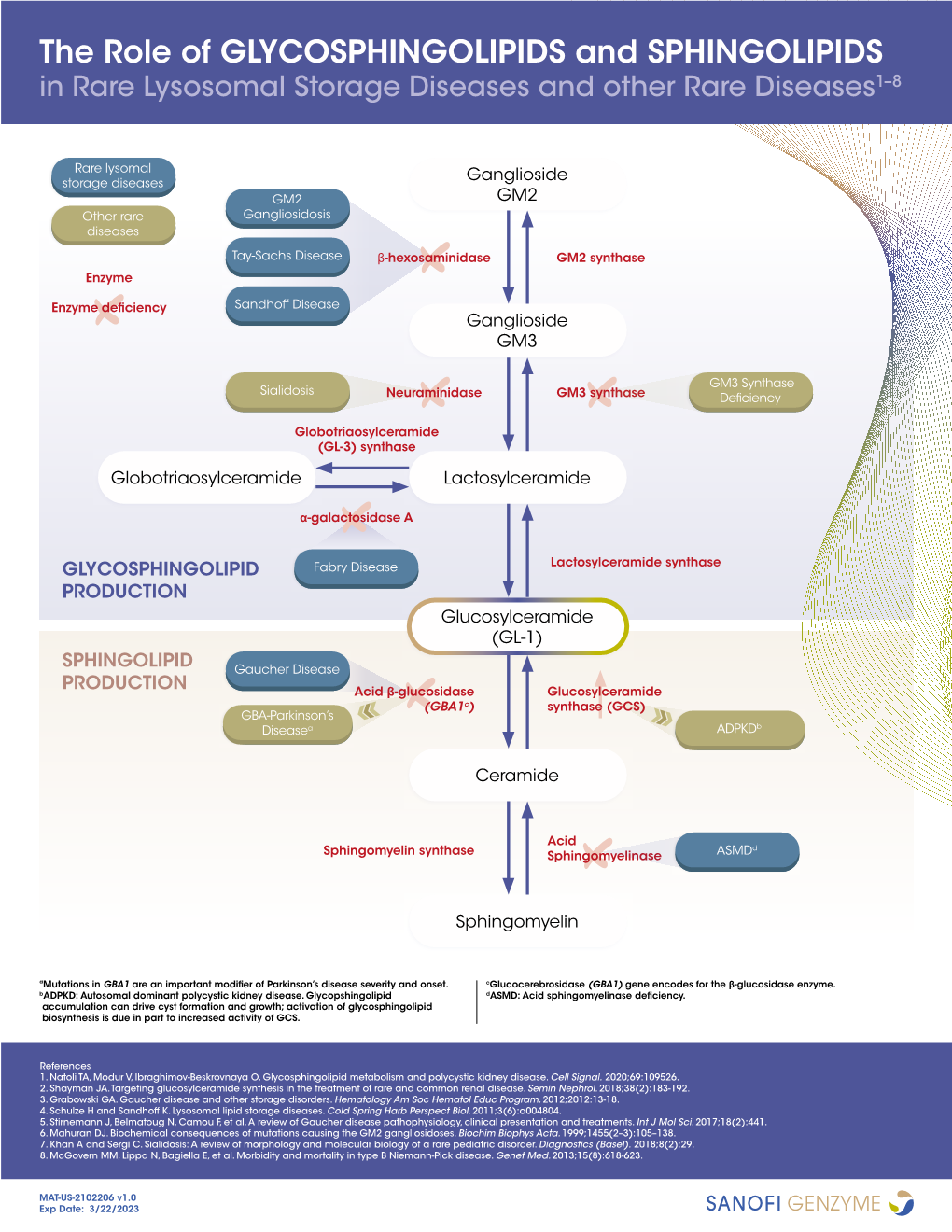 The Role of GLYCOSPHINGOLIPIDS and SPHINGOLIPIDS in Rare Lysosomal Storage Diseases and Other Rare Diseases1–8