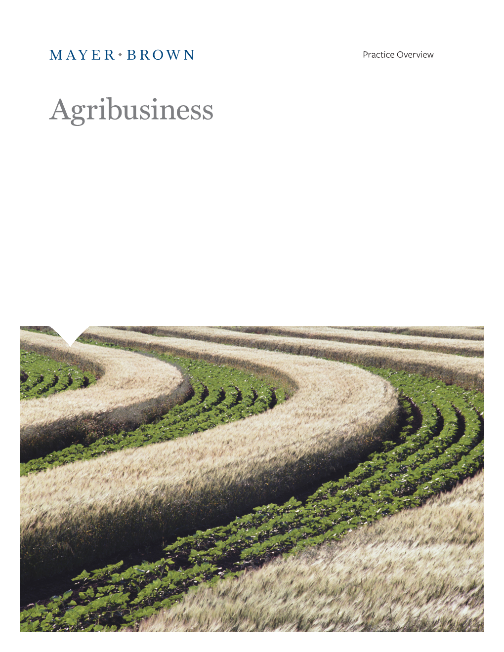 Our Agribusiness Practice