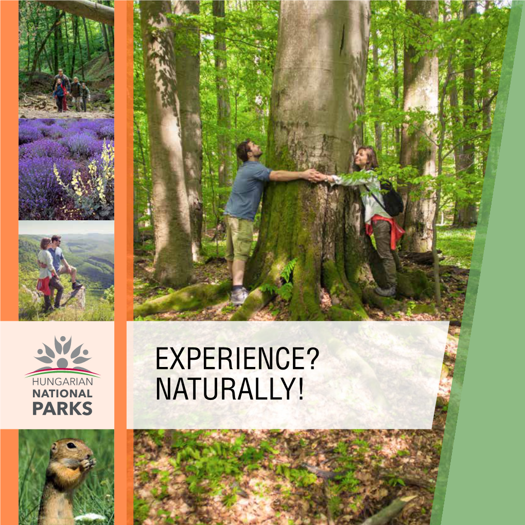 Experience? Naturally! Dr