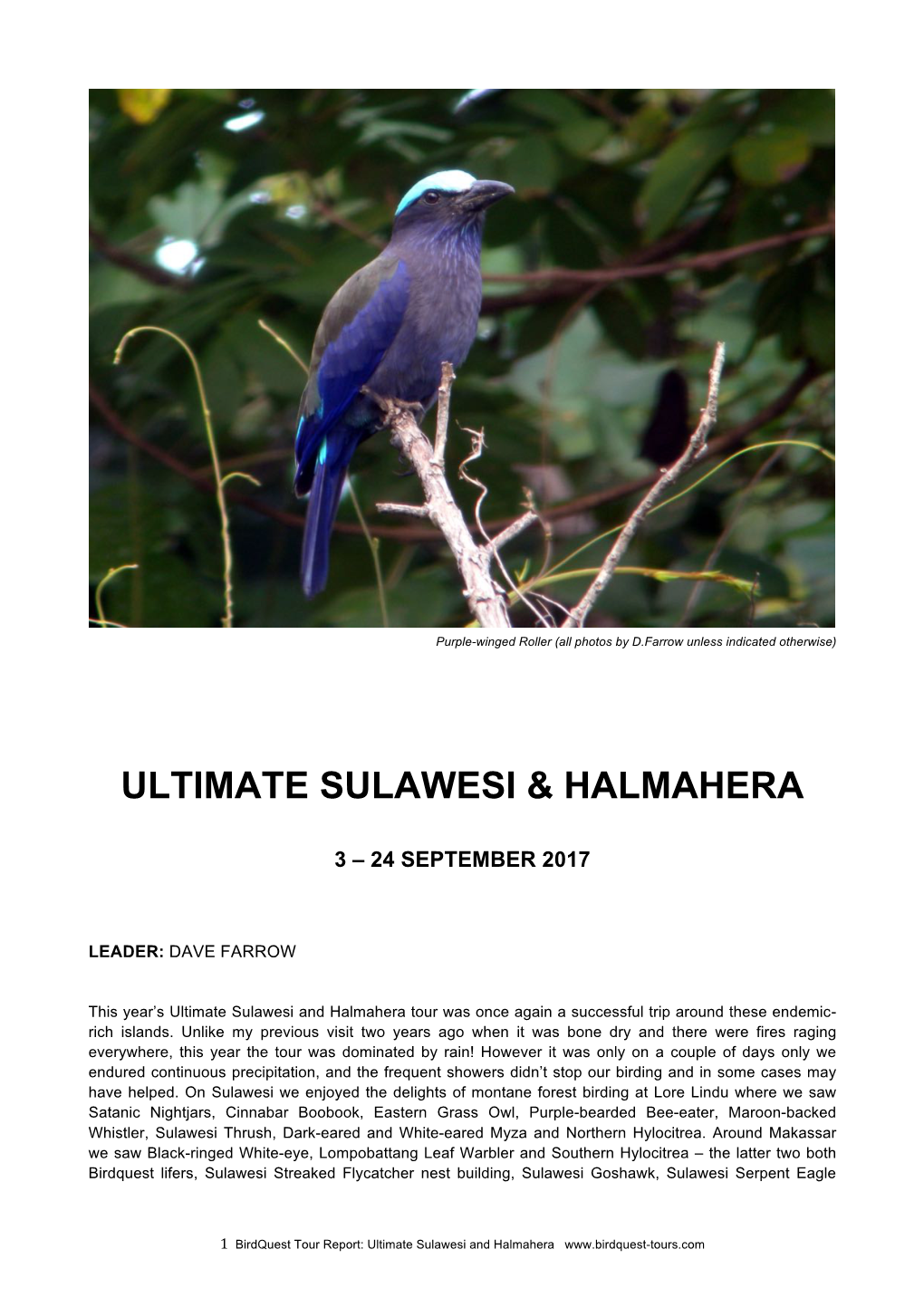 Ult. Sulawesi & Halmahera 2017 Tour Report
