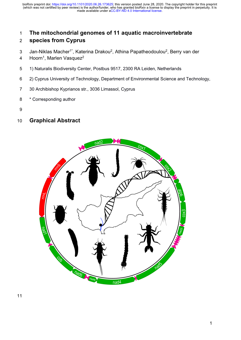 The Mitochondrial Genomes of 11 Aquatic Macroinvertebrate Species