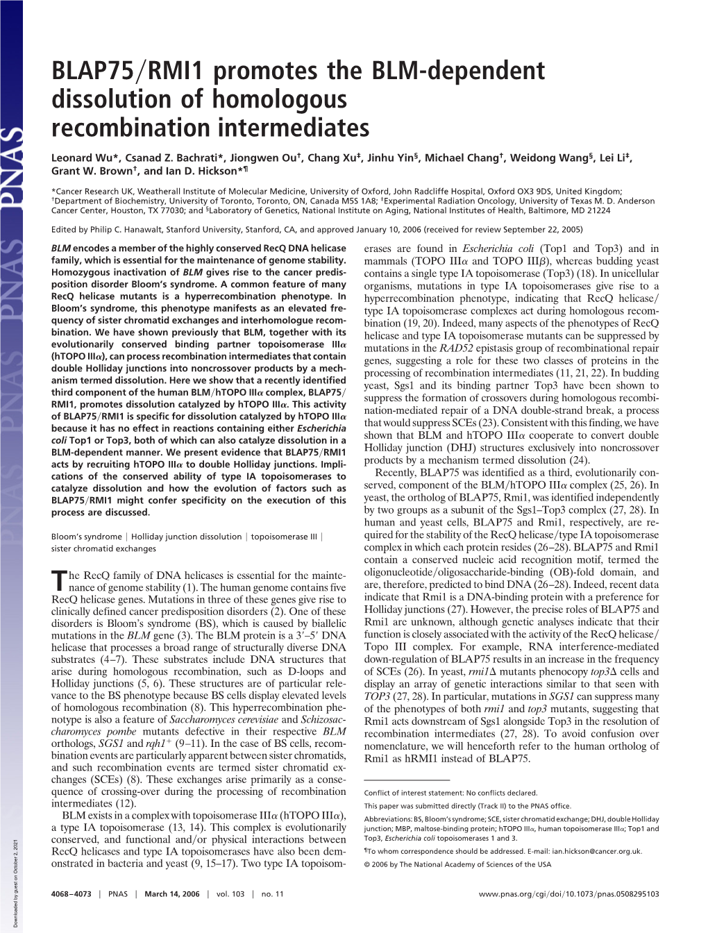 BLAP75 RMI1 Promotes the BLM-Dependent Dissolution Of